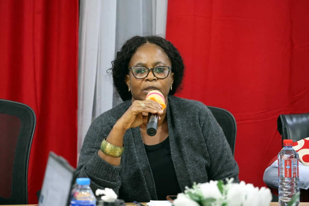 Liberia, IMF Host One-Day Climate Policy Consultation Meeting